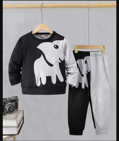 2 Pcs Boy's Fleece Printed Tracksuit