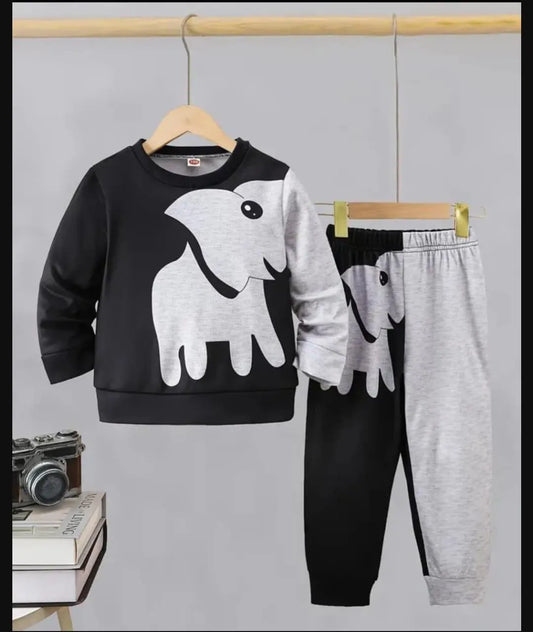 2 Pcs Boy's Fleece Printed Tracksuit