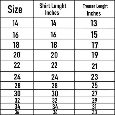 2 Pcs Boy's Dhanak Printed Shirt And Shorts Set